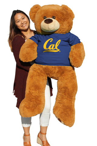 UC BERKELEY GIANT BEAR (6-FOOT)