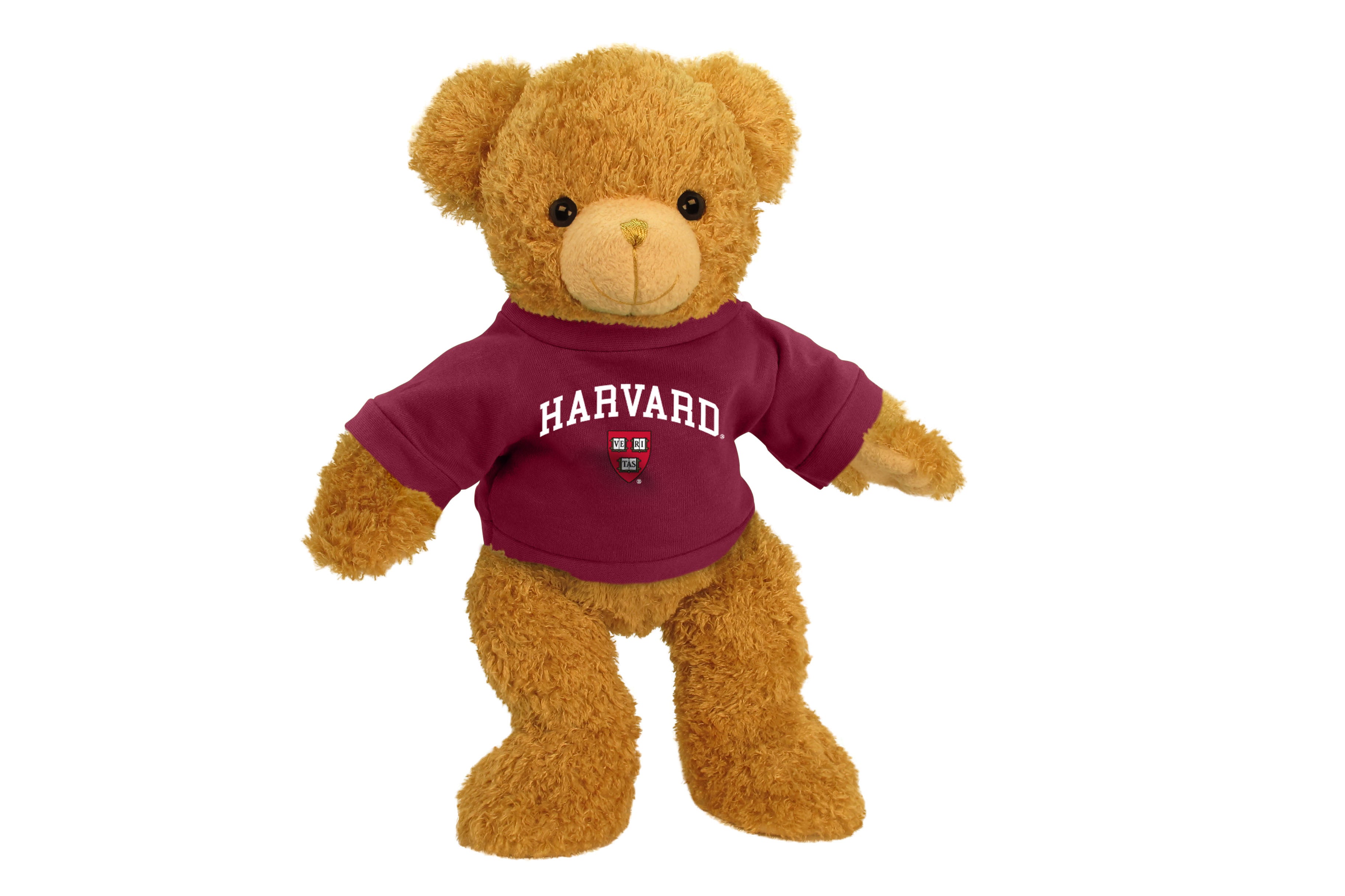 HARVARD UNIV SUPERSOFT BEAR (11")