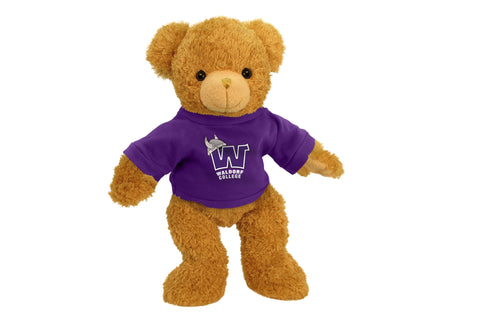 WALDORF COLLEGE SUPERSOFT BEAR (11")