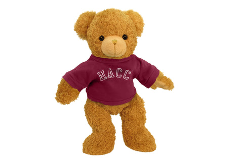 CENTRAL PENN UNIV SUPERSOFT BEAR (11")