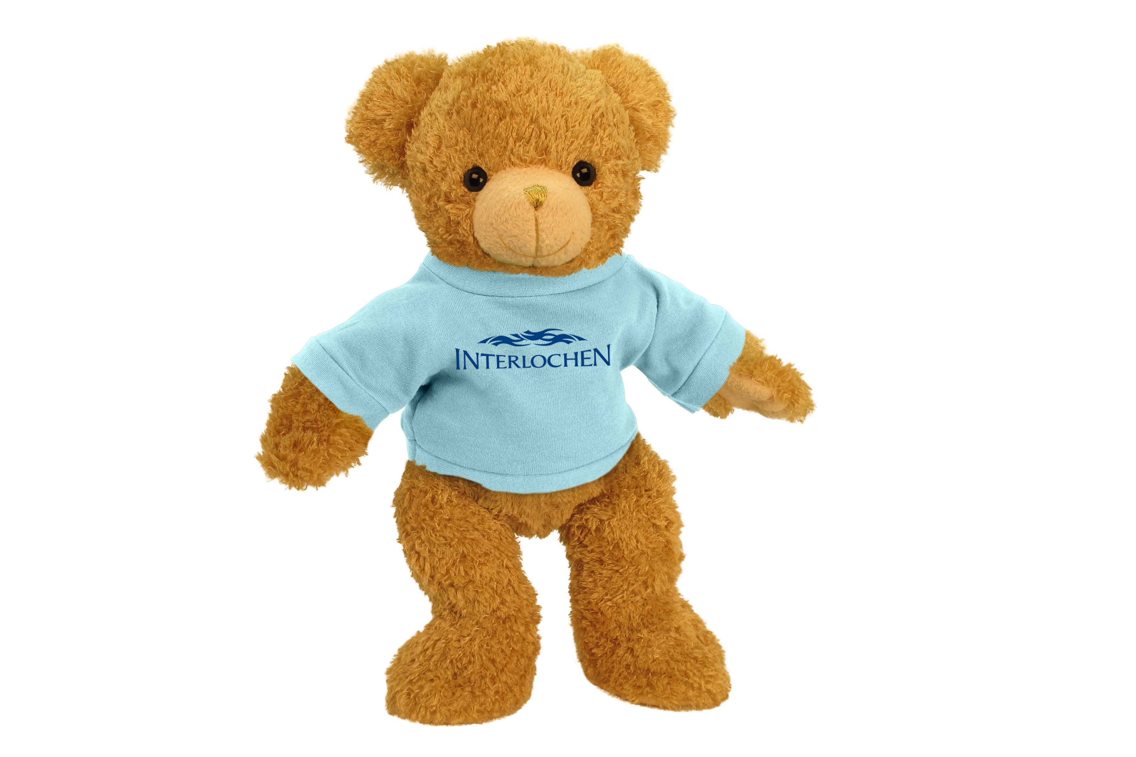 INTERLOCHEN ARTS SUPERSOFT BEAR (11")