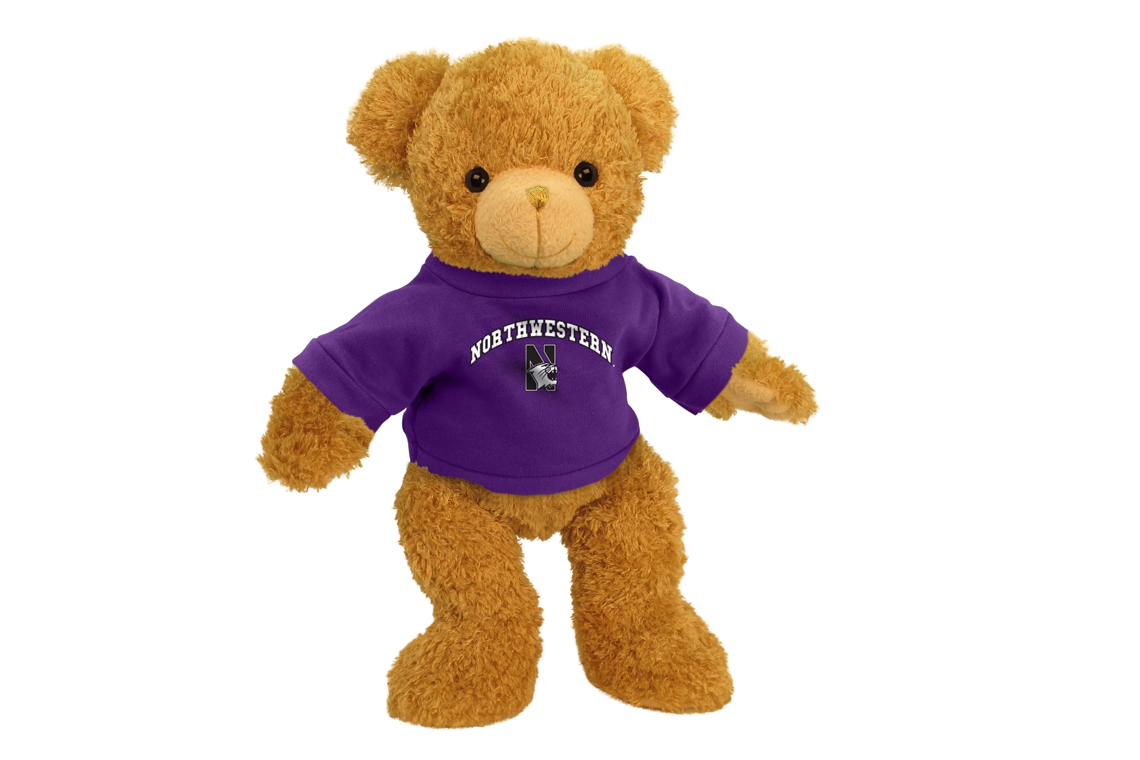 NORTHWESTERN UNIV SUPERSOFT BEAR (11")