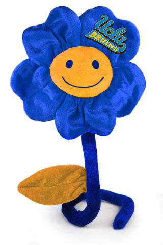 UCLA HAPPY FLOWER (20")