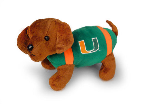 MIAMI FOOTBALL DOG