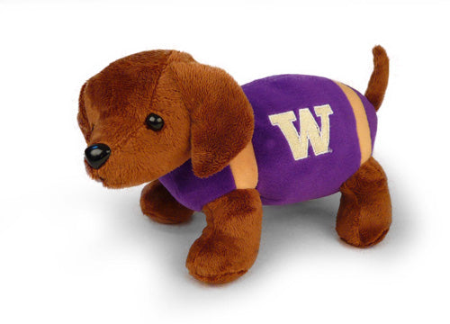 WASHINGTON FOOTBALL DOG