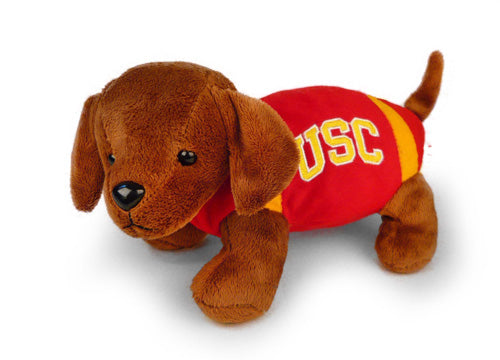 USC FOOTBALL DOG