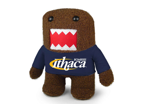 ITHACA COLLEGE DOMO