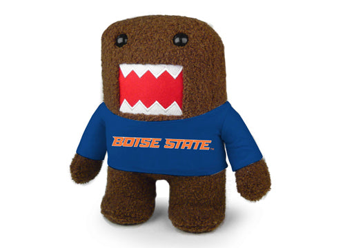 BOISE STATE DOMO