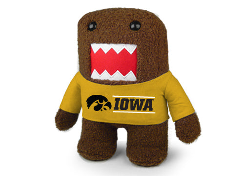 IOWA UNIV DOMO