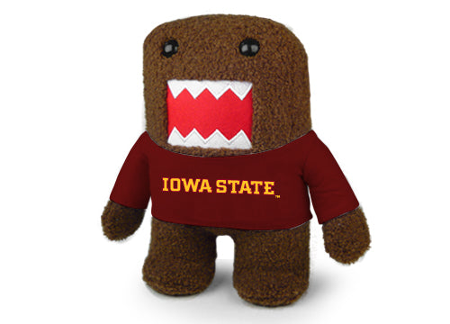 IOWA STATE DOMO