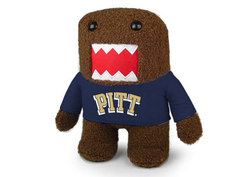 PITTSBURGH UNIV DOMO