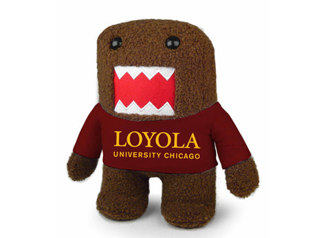 LOYOLA UNIV CHICAGO DOMO