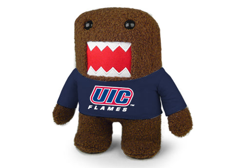 ILLINOIS CHICAGO DOMO