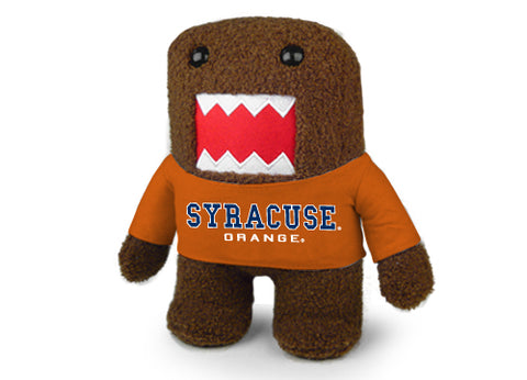 SYRACUSE UNIV DOMO