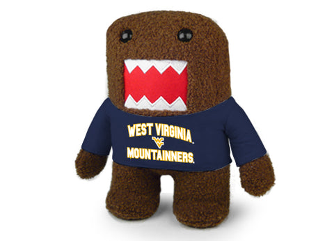 WEST VIRGINIA UNIV DOMO