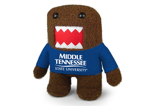 MIDDLE TENNESSEE DOMO