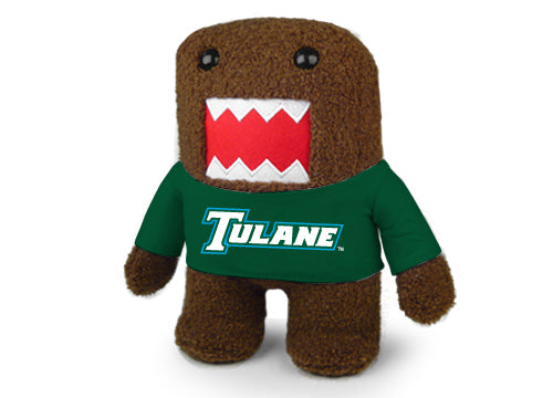 TULANE UNIV DOMO