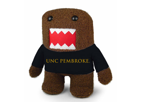 NORTH CAROLINA PEMBROKE DOMO