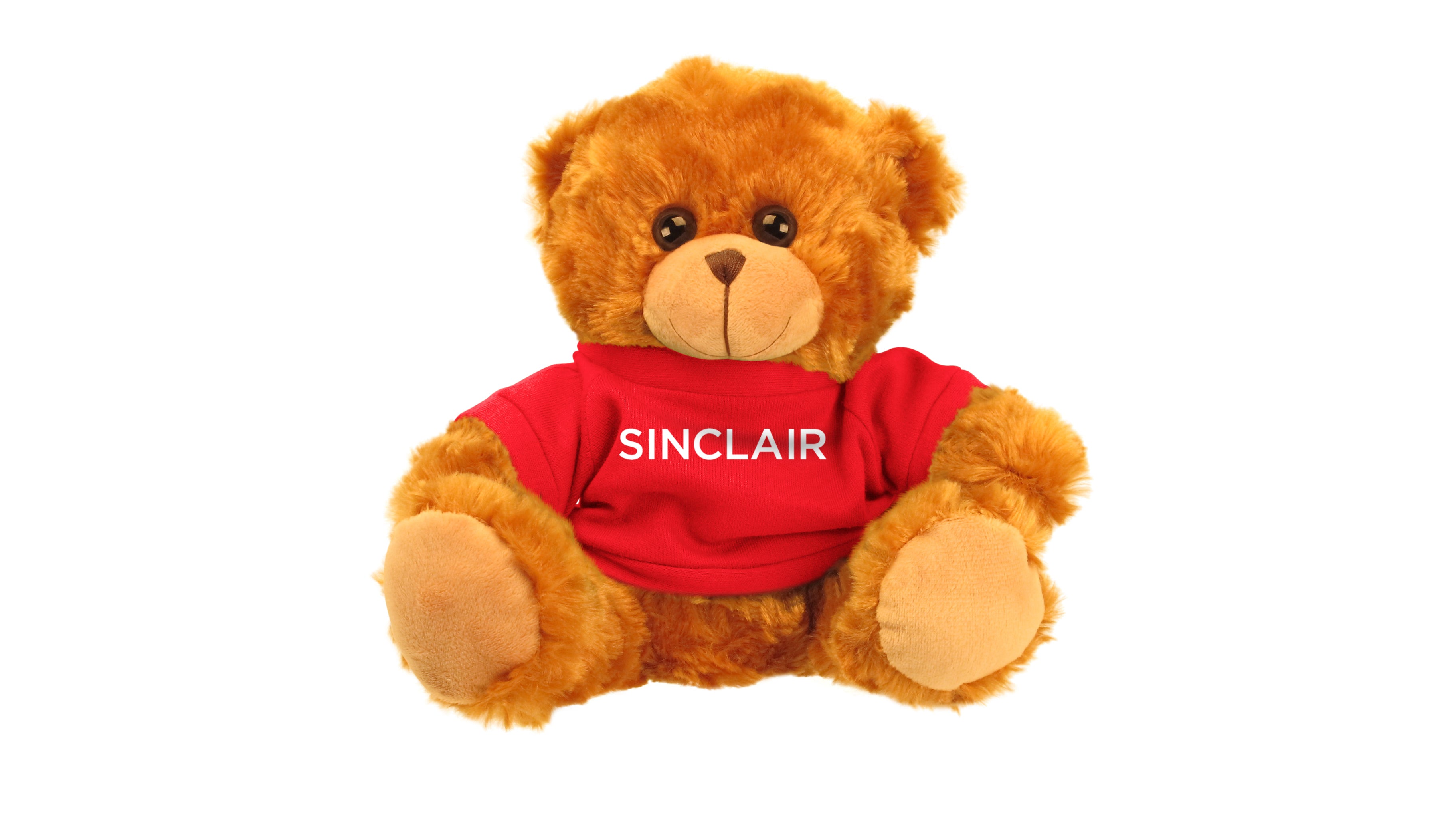 SINCLAIR UNIV BEAR