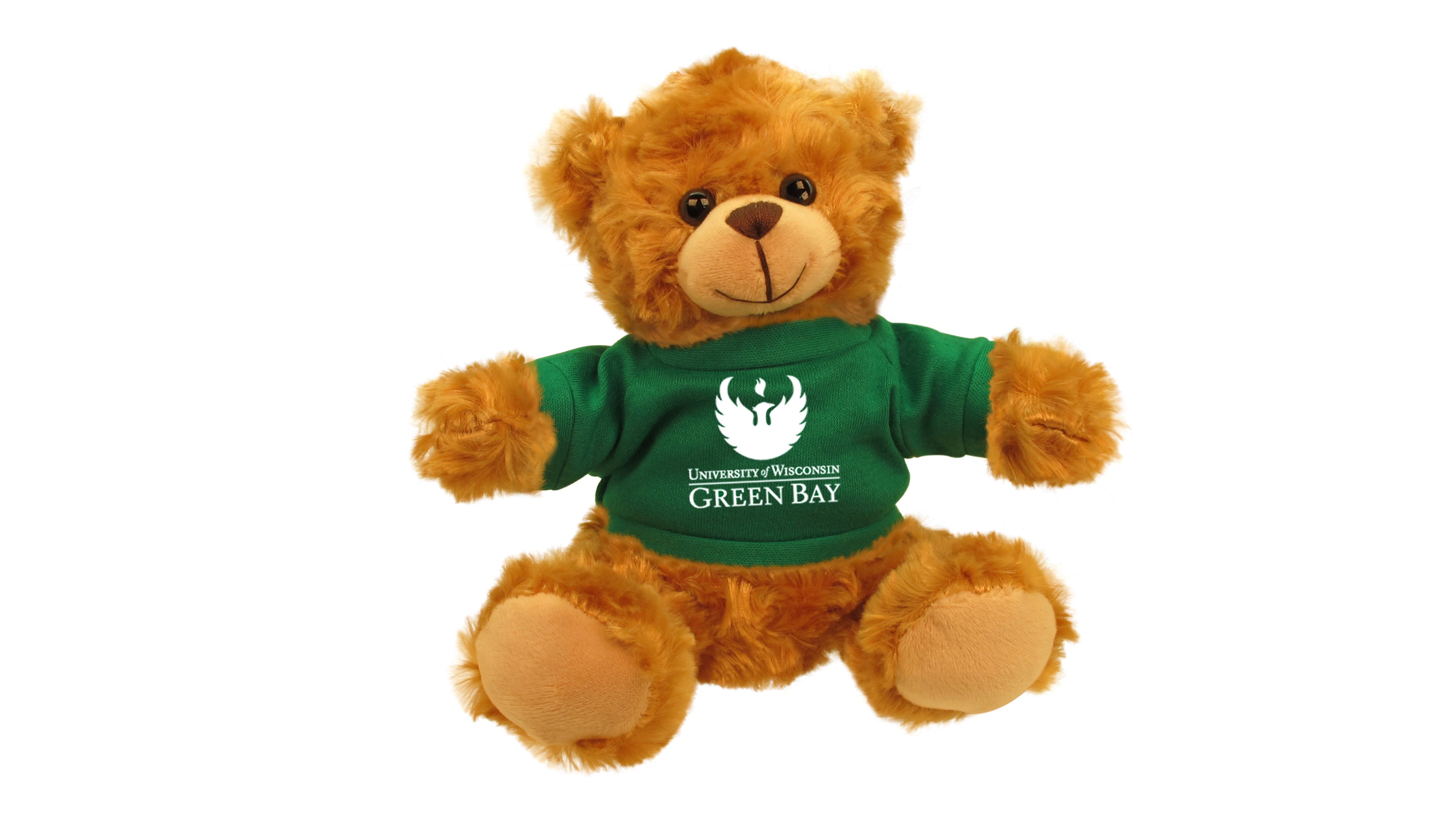 WISCONSIN GREEN BAY BEAR