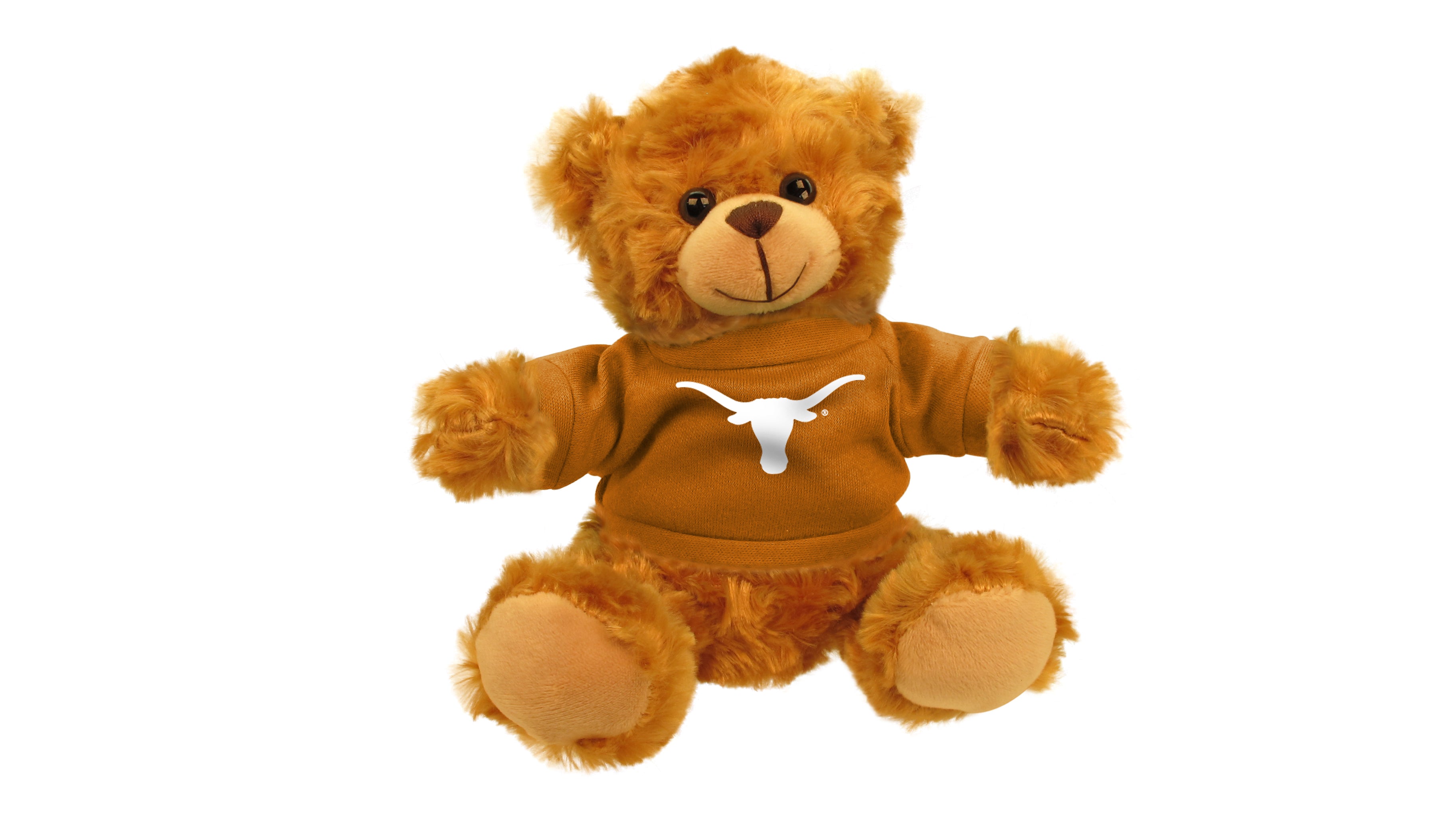 TEXAS UNIV BEAR