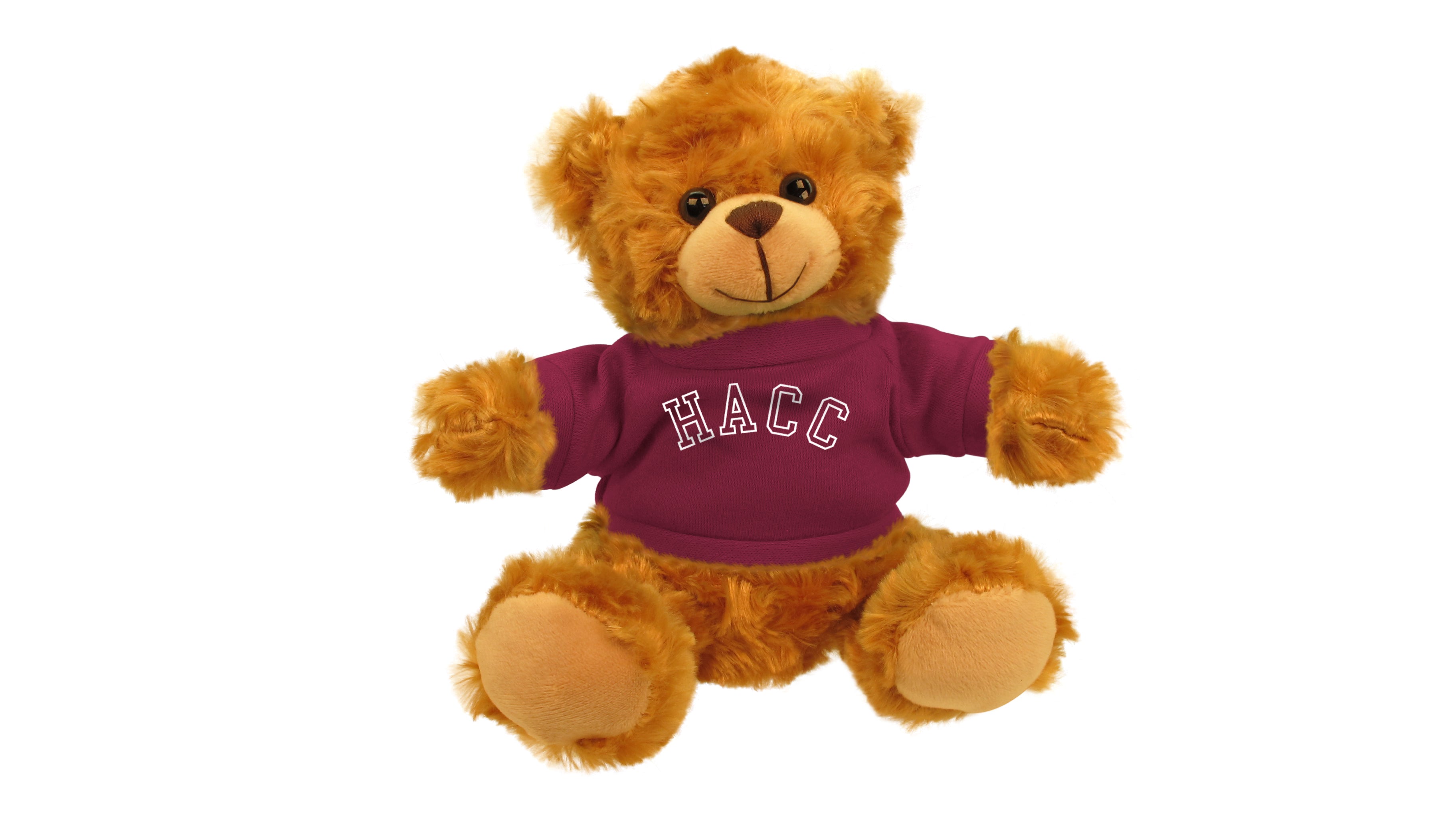 CENTRAL PENN UNIV BEAR