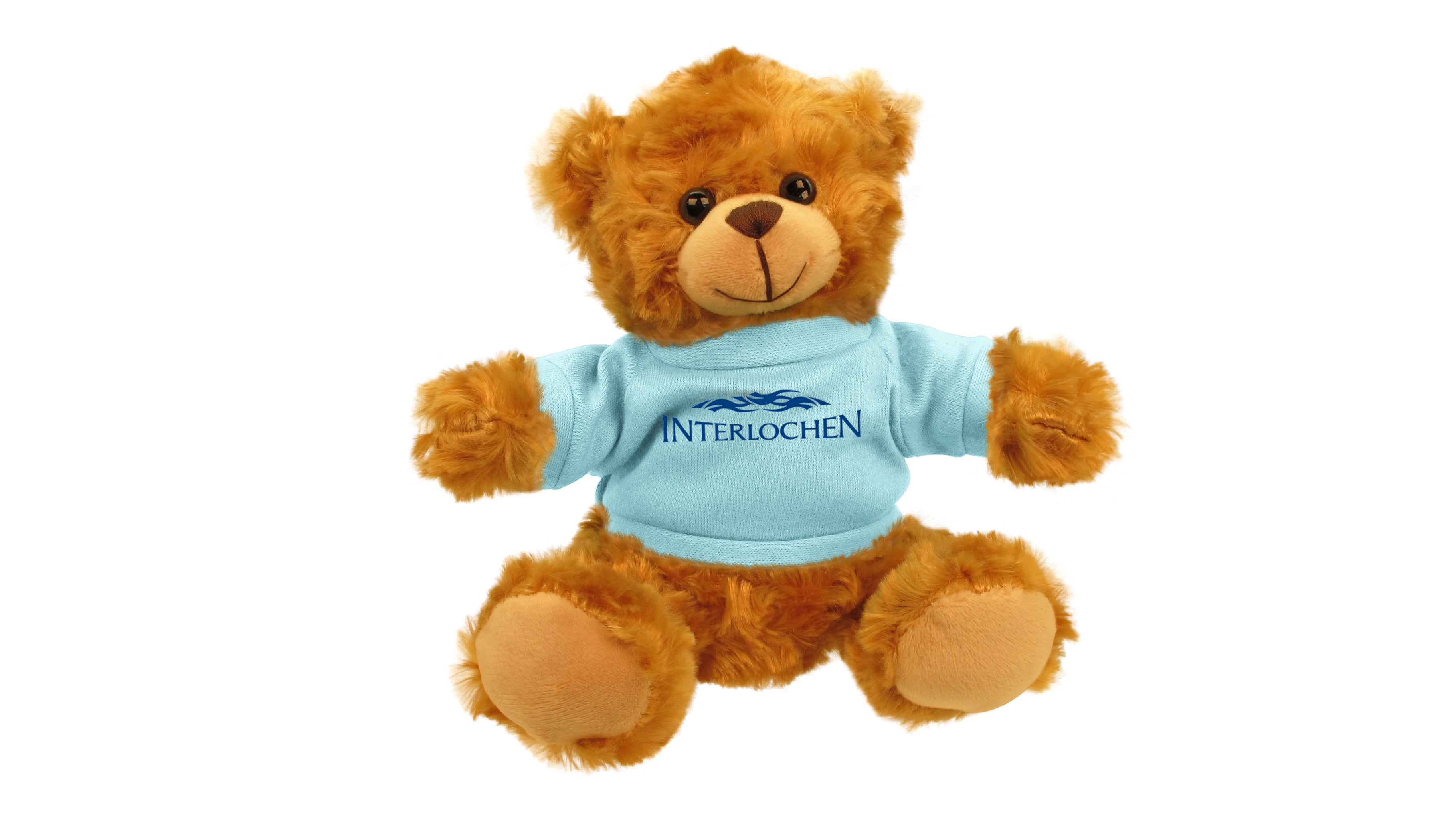 INTERLOCHEN ARTS BEAR