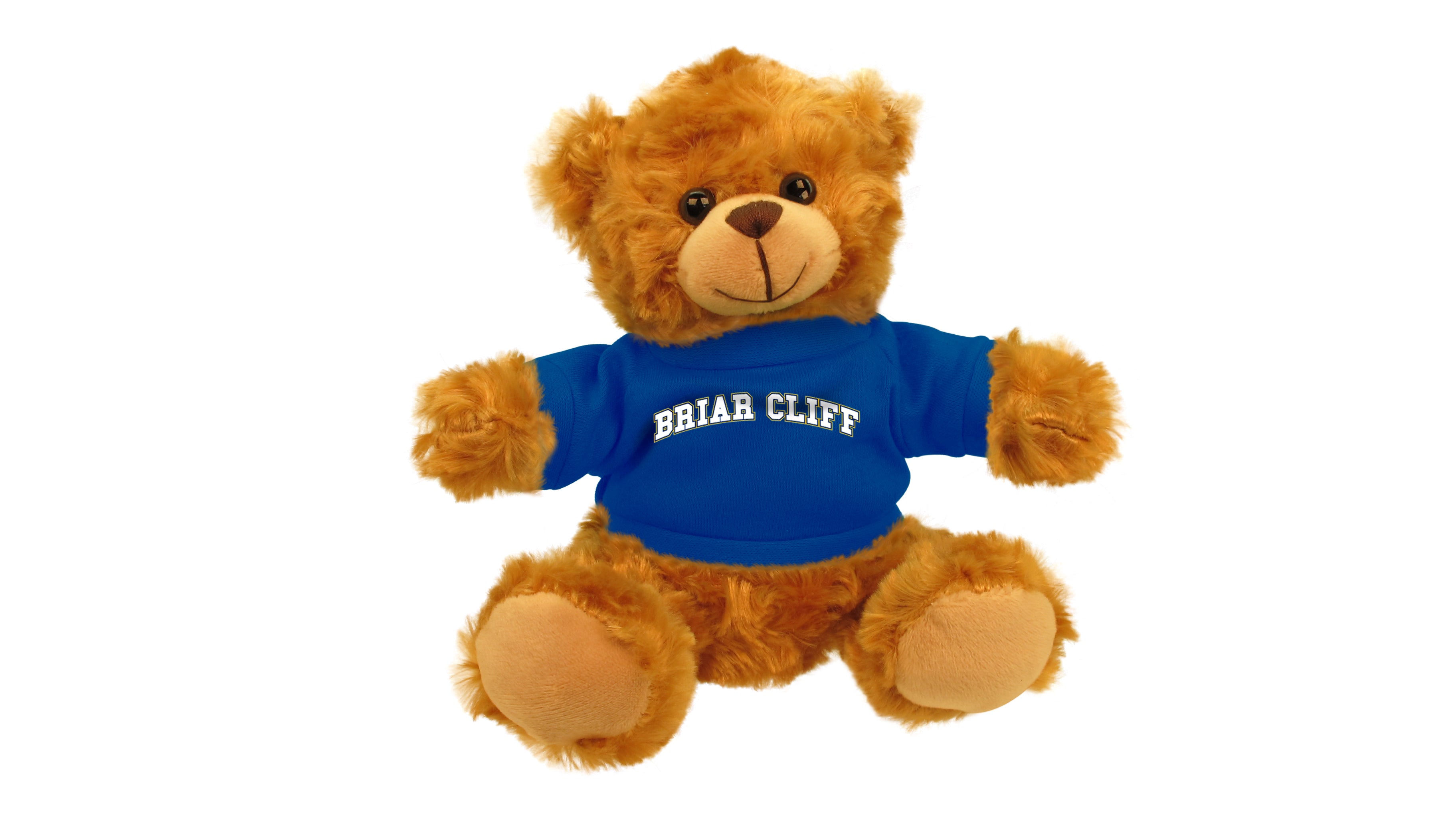 BRIAR CLIFF UNIV BEAR