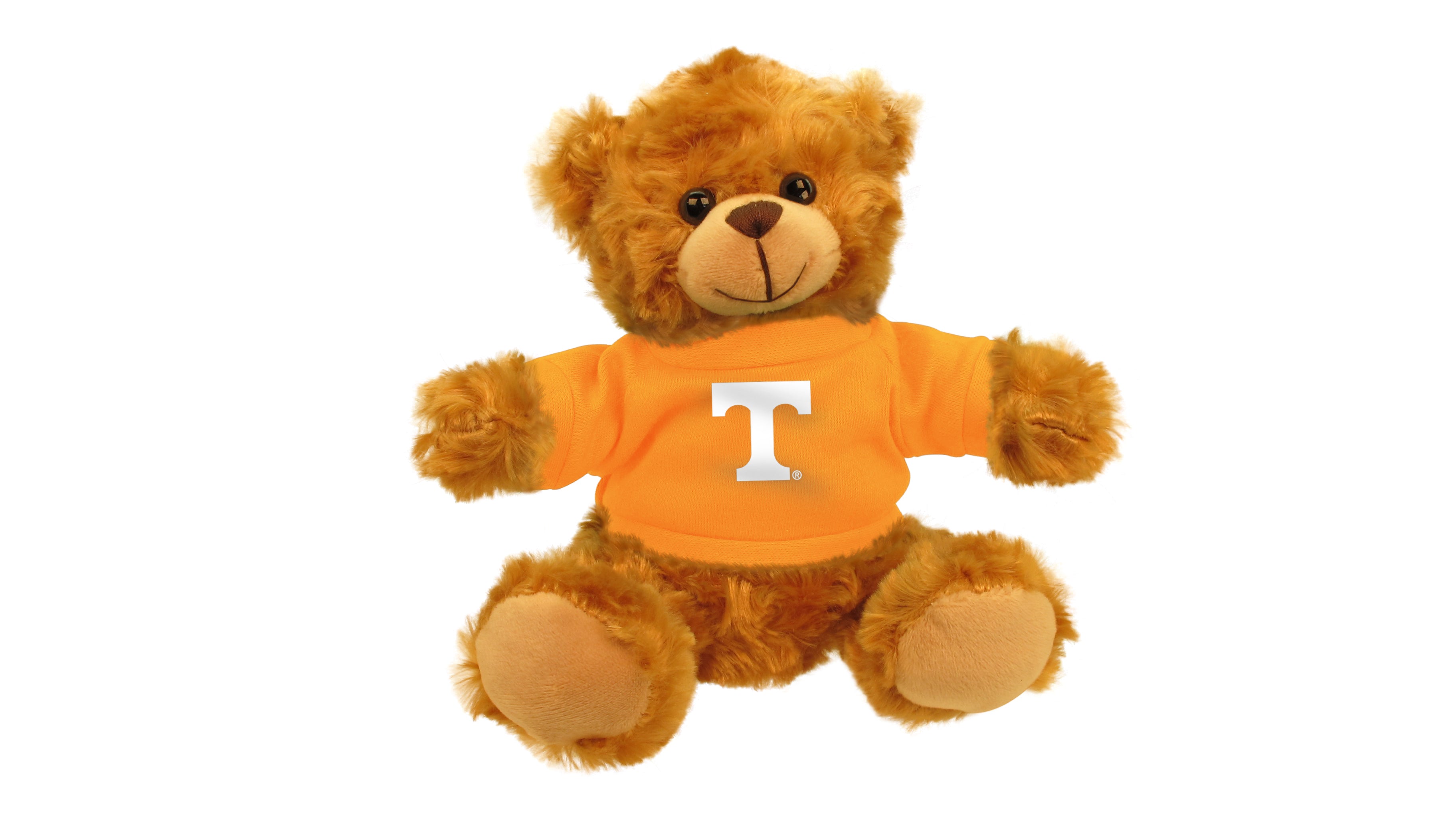 TENNESSEE UNIV BEAR