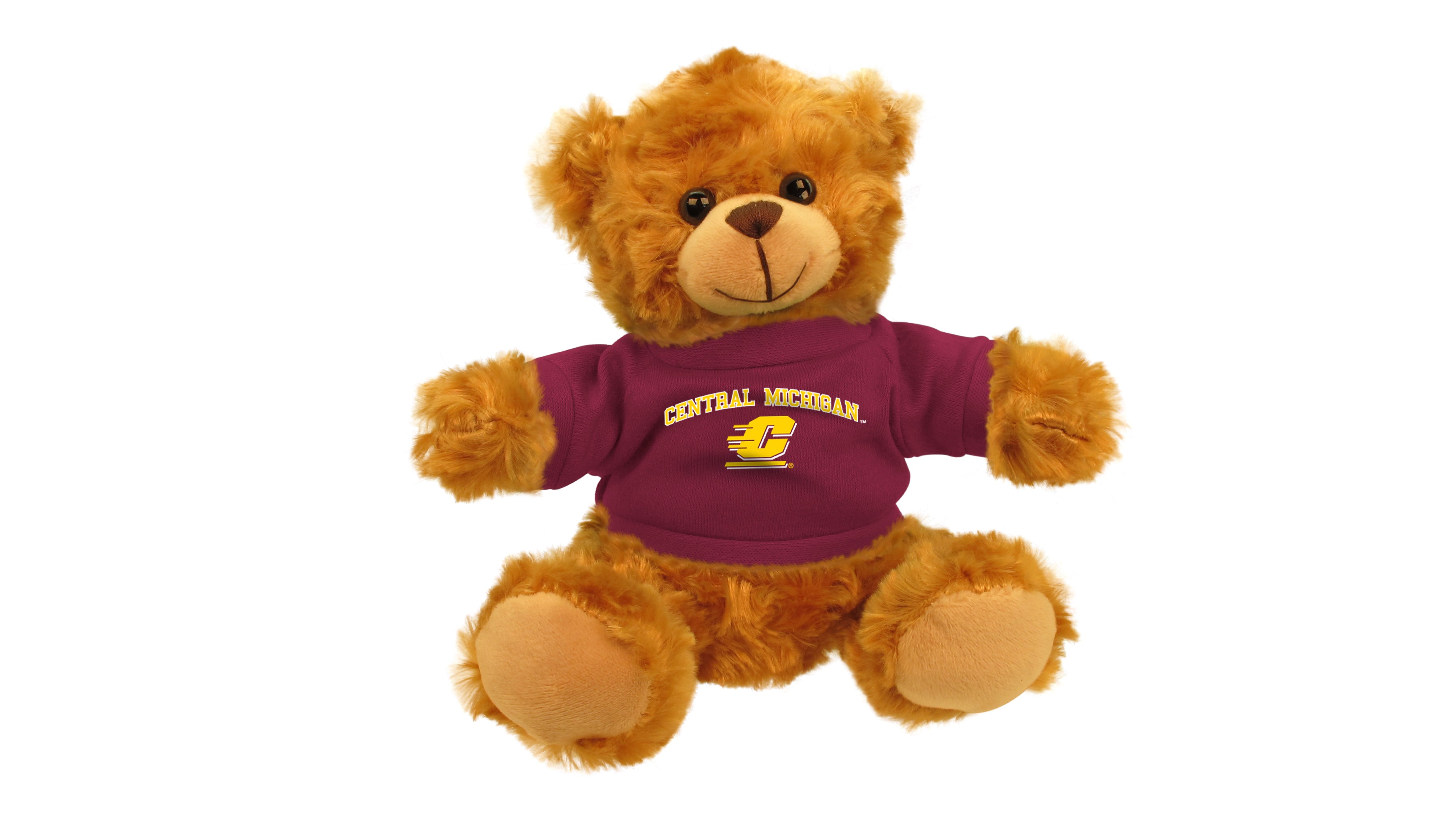 CENTRAL MICHIGAN BEAR