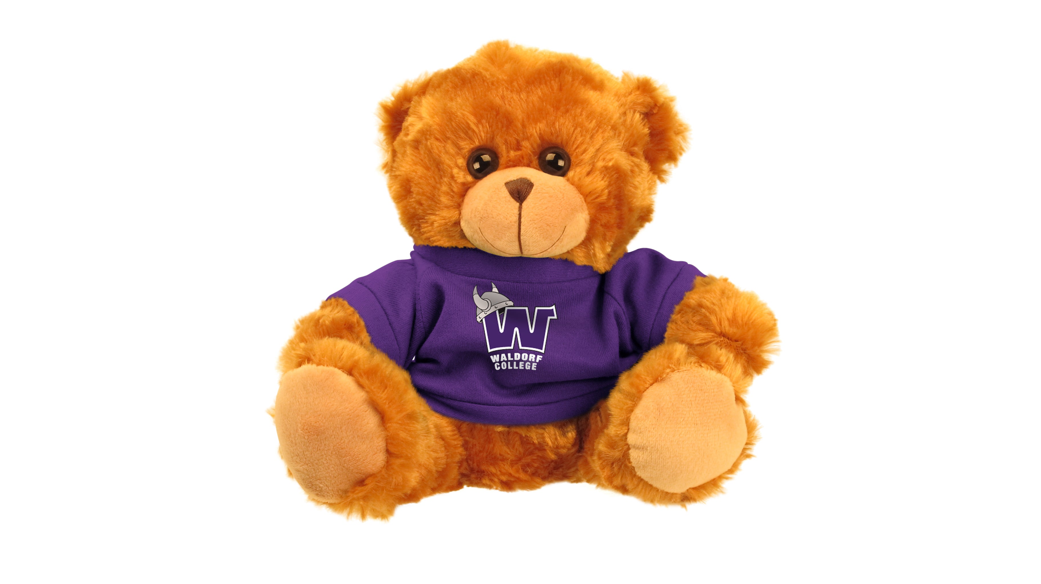 WALDORF COLLEGE BEAR (11