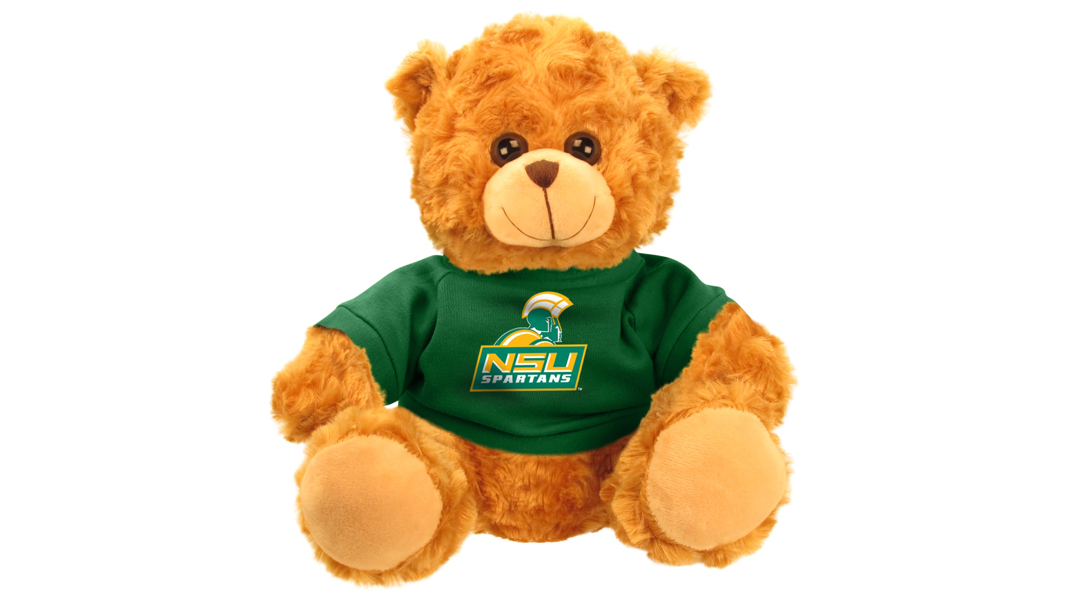 NORFOLK STATE BEAR