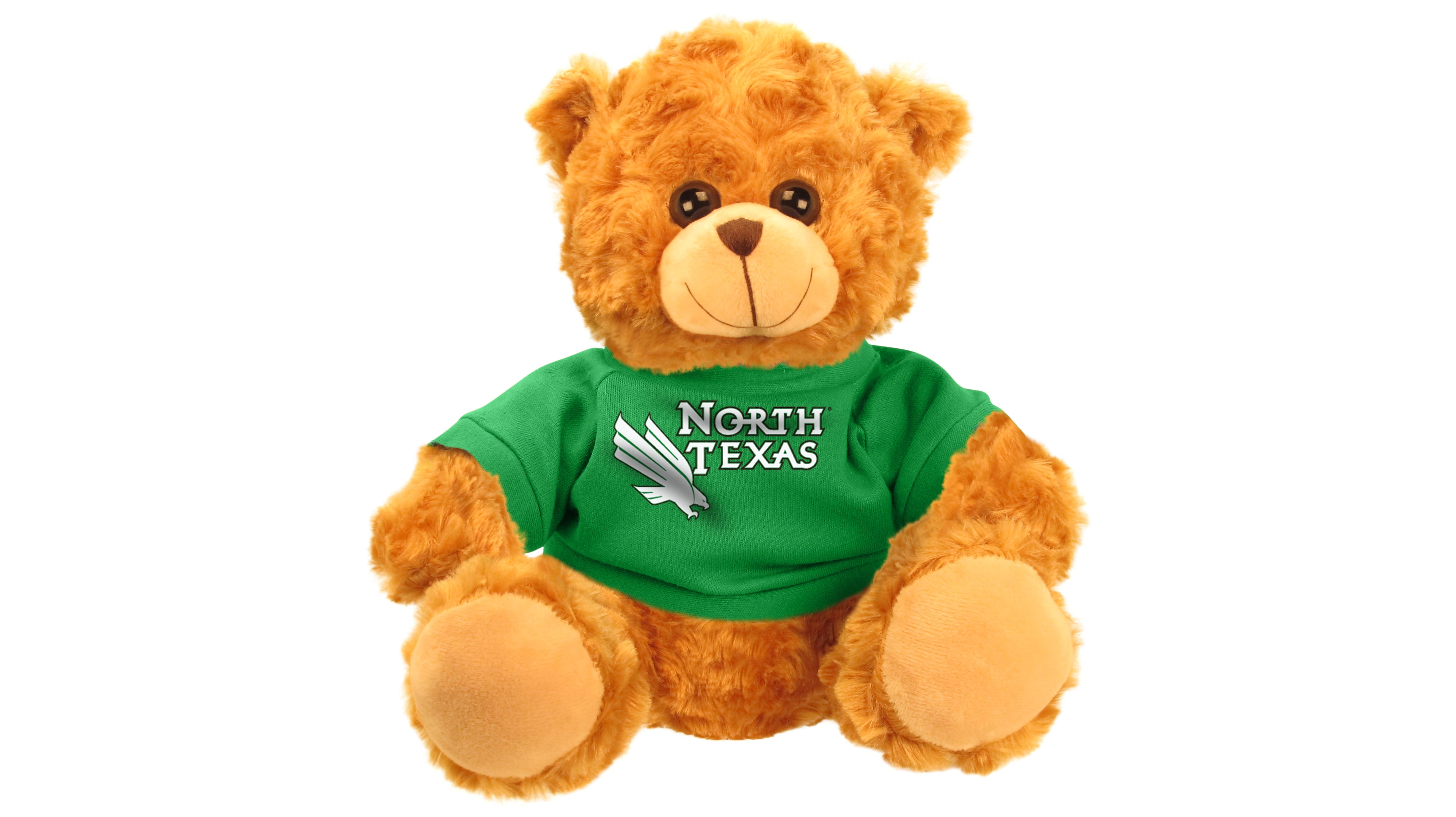 NORTH TEXAS UNIV BEAR