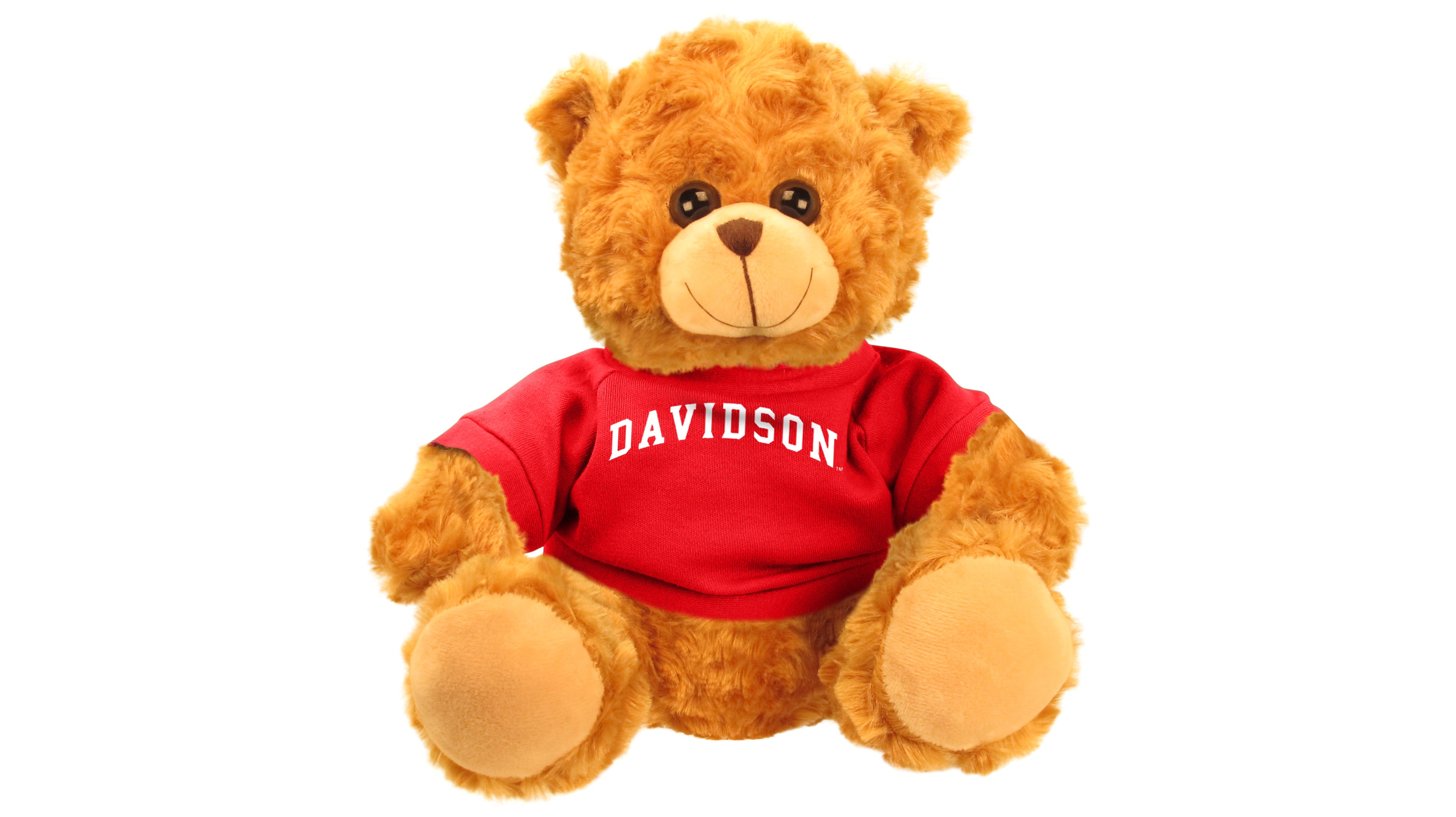 DAVISON COLLEGE BEAR