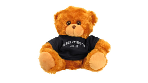 HAROLD WASHINGTON UNIV BEAR