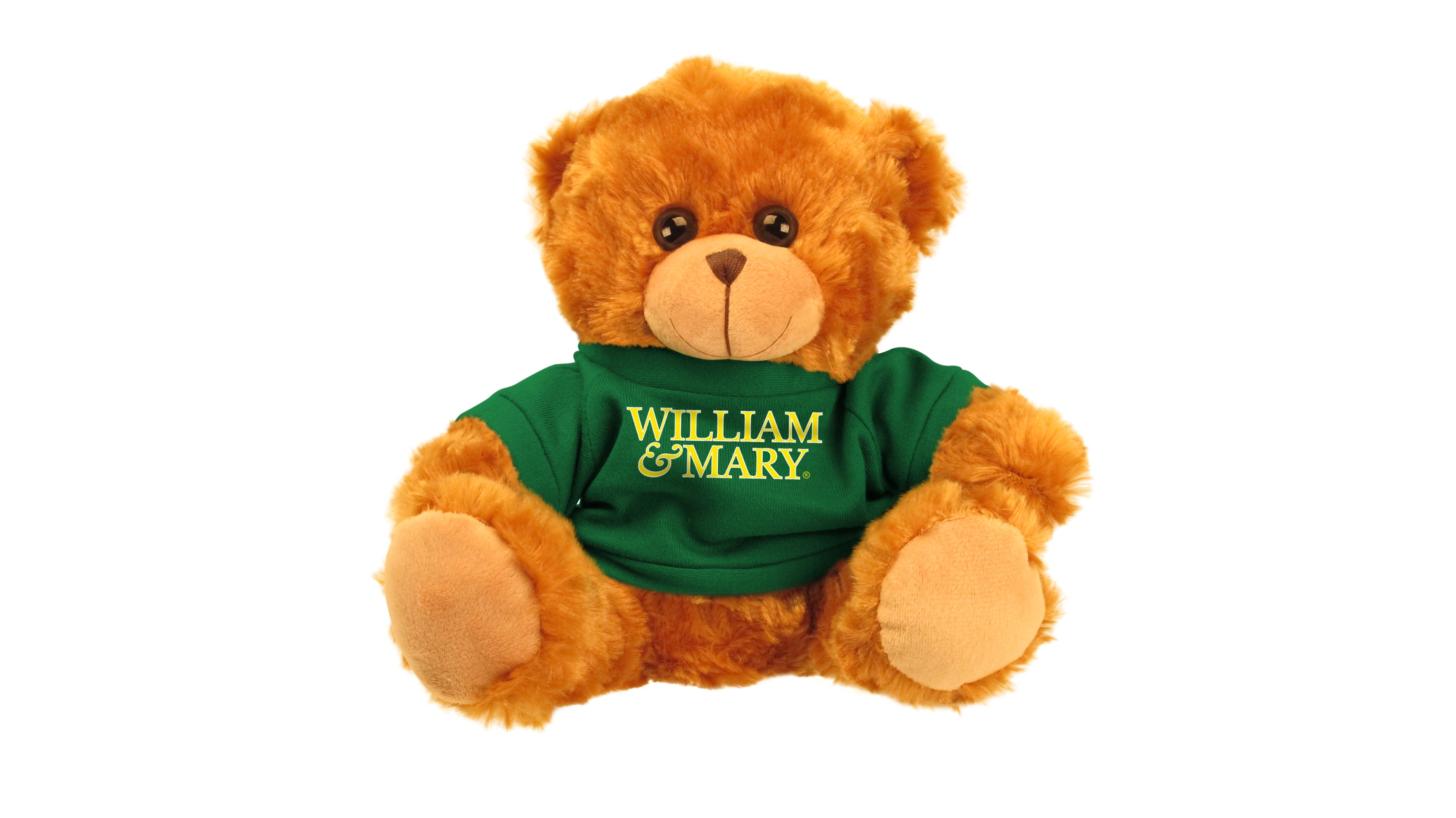 WILLIAM AND MARY BEAR