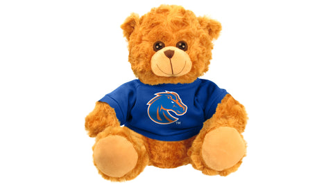 BOISE STATE BEAR