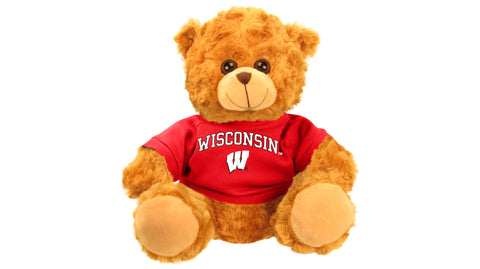 WISCONSIN UNIV BEAR