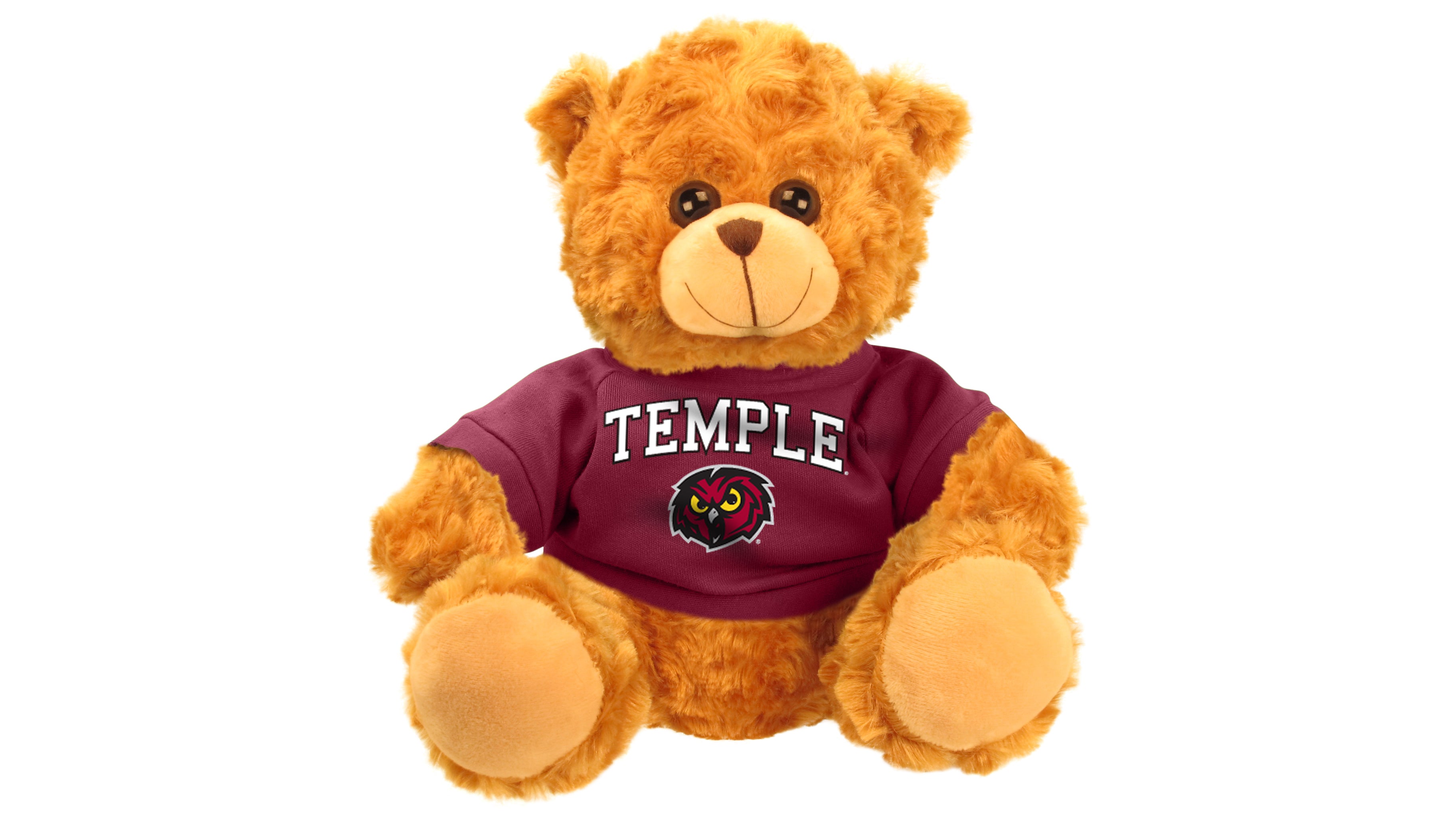 TEMPLE UNIV BEAR