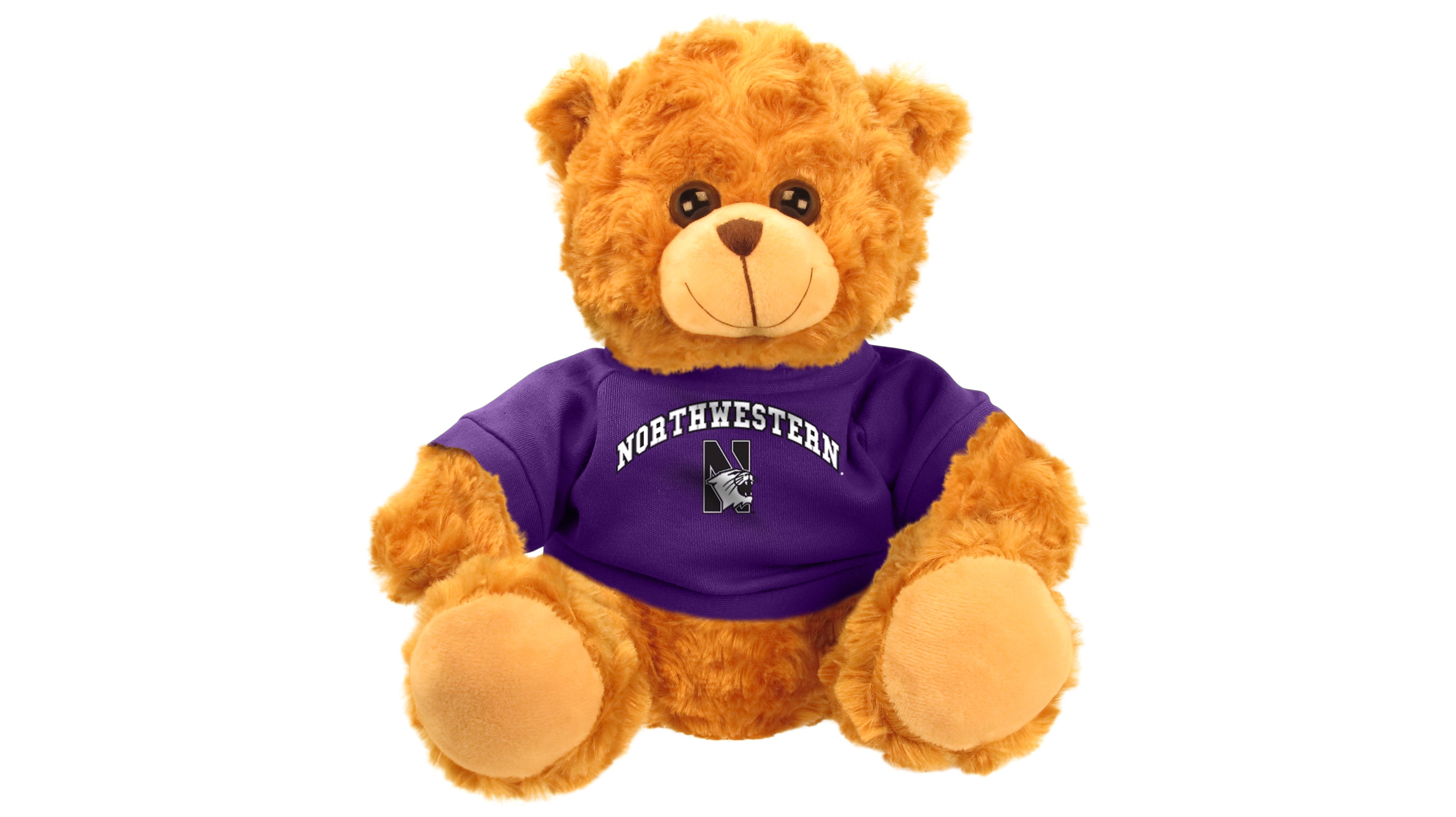 NORTHWESTERN UNIV BEAR