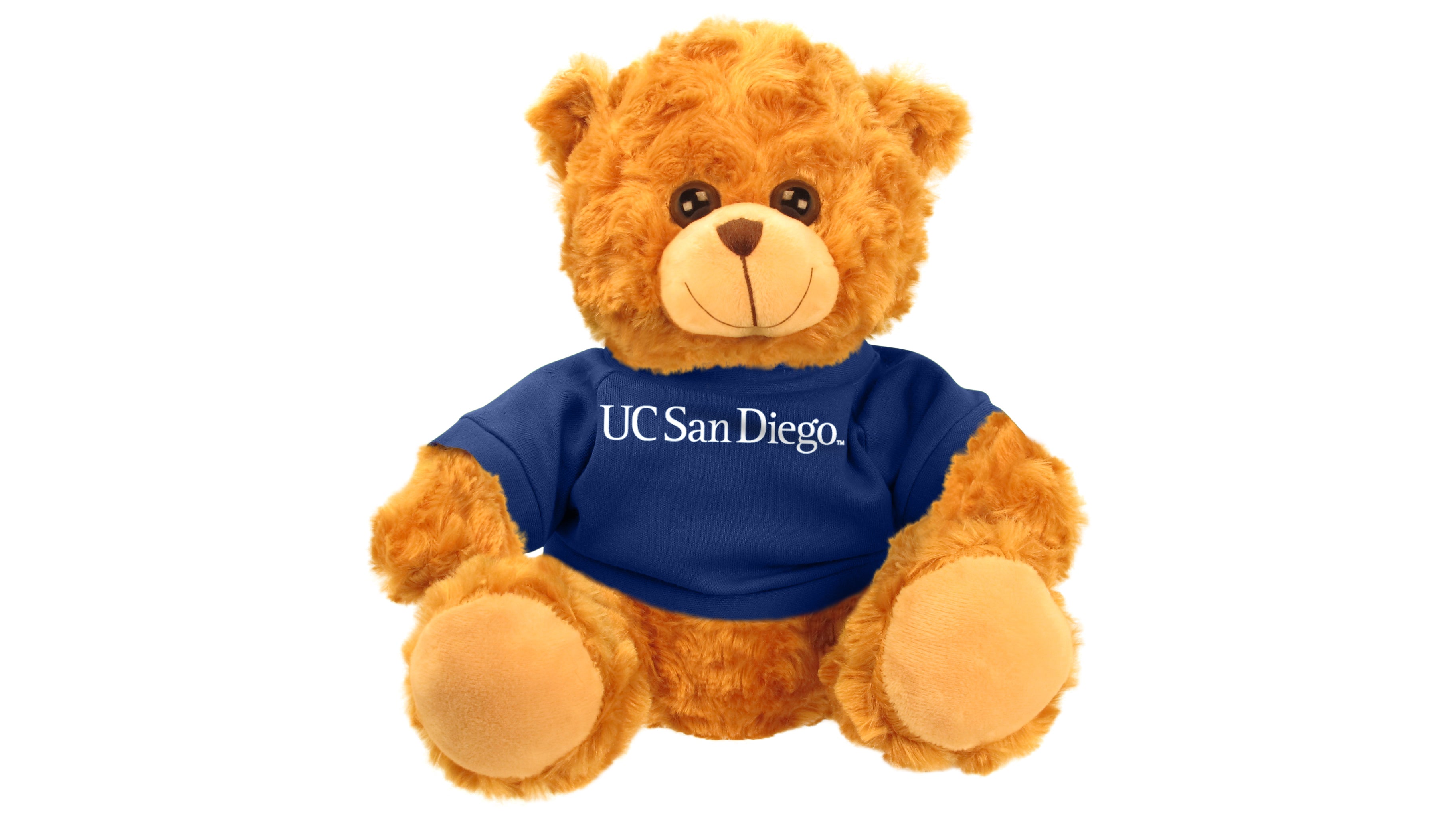 UC SAN DIEGO BEAR